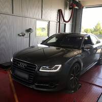 240948841_4385027464887879_4319770636410708854_n